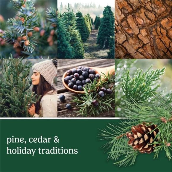 Scented Candle - 22oz Dual-Wick Tumbler, 75+ Hours Burn Time, Holiday Classic - Picture 2 of 7